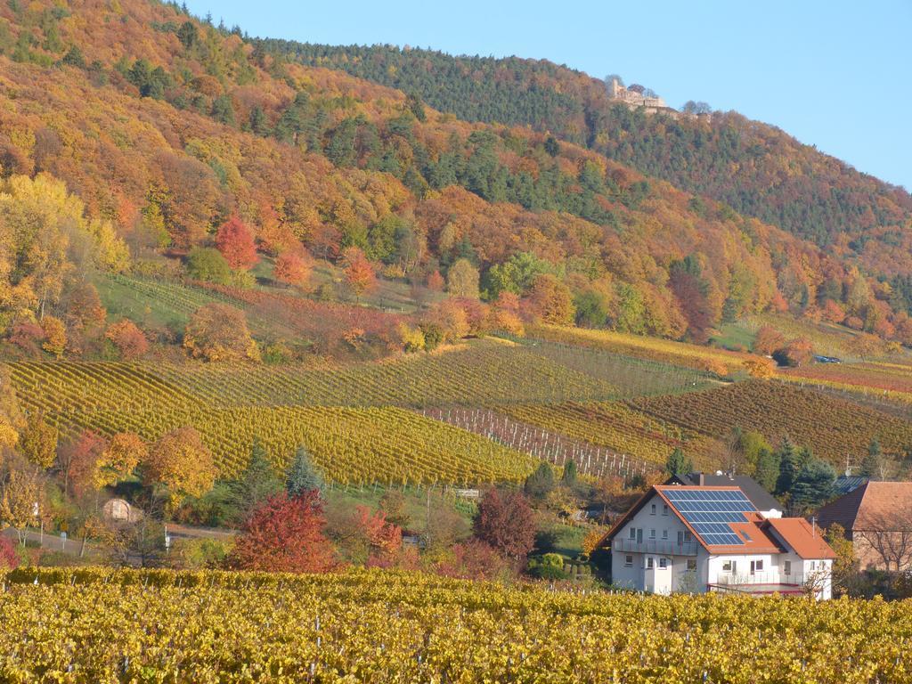 Gaestehaus Moni Jaeger Weyher Luaran gambar